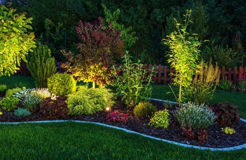 garden bed with landscape lighting