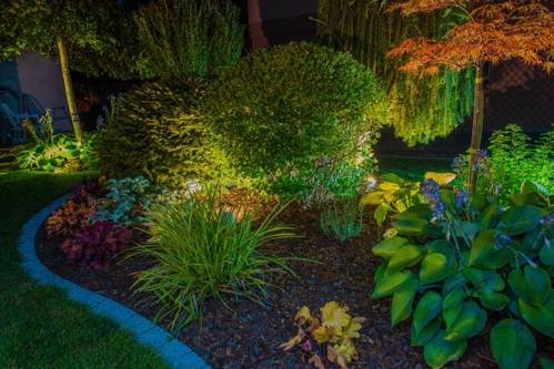 garden with landscape lighting